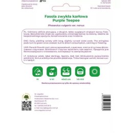 Fasola zwykła szparagowa karłowa fioletowostrąkowa Purple Teepee W.Legutko