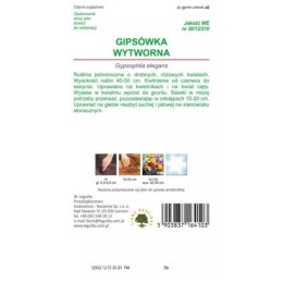 Gipsówka wytworna różowa W.Legutko