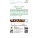 Goździk brodaty mieszankowy - kwiaty pojedyncze W.Legutko