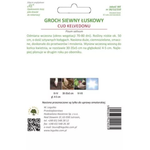 Groch łuskowy 'Cud Kelvedonu' - odmiana wczesna o pomarszczonych nasionach W.Legutko