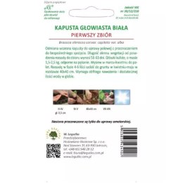 Kapusta biała głowiasta wczesna - odmiana Pierwszy Zbiór W.Legutko