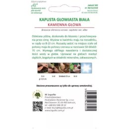Kapusta głowiasta biała 'Kamienna Głowa' - odmiana późna W.Legutko