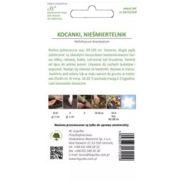 Kocanki wysokie (nieśmiertelnik) - mieszanka kolorów W.Legutko