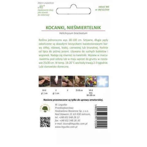 Kocanki wysokie (nieśmiertelnik) - mieszanka kolorów W.Legutko