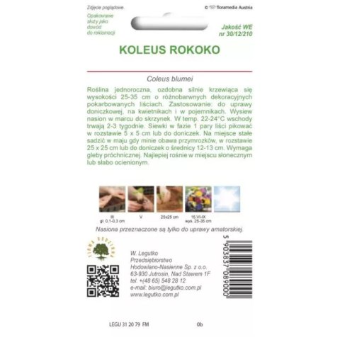 Koleus 'Rokoko' - mieszanka kolorów W.Legutko