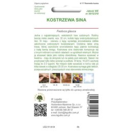 Kostrzewa sina - trawa ozdobna, srebrnoniebieska W.Legutko