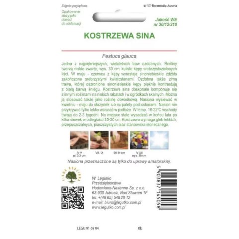 Kostrzewa sina - trawa ozdobna, srebrnoniebieska W.Legutko