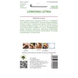 Lewkonia letnia - barwna mieszanka W.Legutko