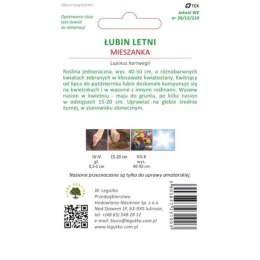 Łubin letni - mieszanka kolorów W.Legutko