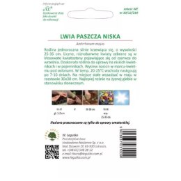 Lwia paszcza niska - mieszanka W.Legutko