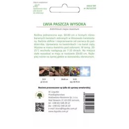 Lwia paszcza (wyżlin) wysoka - barwna mieszanka W.Legutko