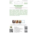 Macierzanka piaskowa - odmiana lilaróżowa W.Legutko