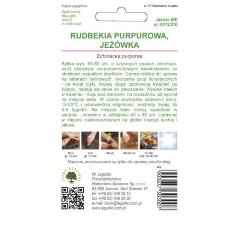 Nasiona jeżówki purpurowej, różowa W.Legutko