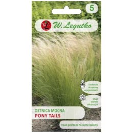 Nasiona ostnicy mocnej 'Pony Tails' (Stipa tenuissima) - zielona, 0,05 g W.Legutko