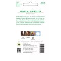 Nemezja Jawnutka - mieszanka kolorów, nasiona otarte W.Legutko