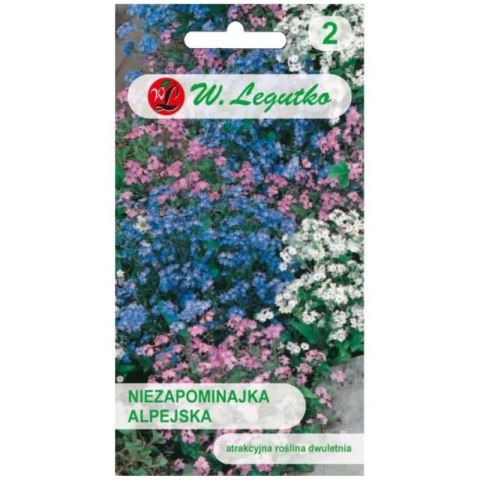 Niezapominajka alpejska mieszanka W.Legutko