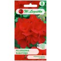 Pelargonia rabatowa Gama F1 - czerwona W.Legutko