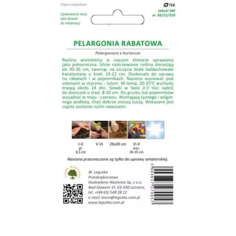 Pelargonia rabatowa biała 'Gama F1' W.Legutko