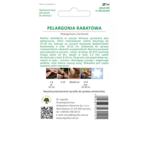 Pelargonia rabatowa z serii Gama F1 - łososiowa W.Legutko
