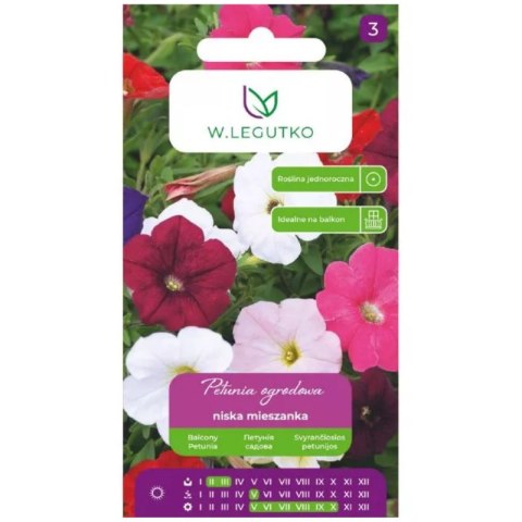 Petunia ogrodowa niska - mieszanka W.Legutko