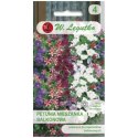 Petunia ogrodowa o pędach zwisających - mieszanka balkonowa W.Legutko