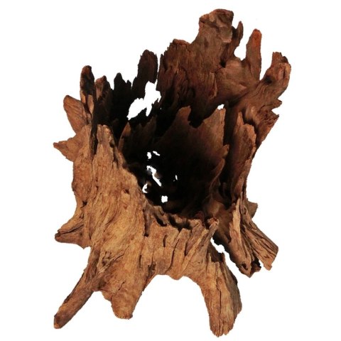 Philippines Classic Driftwood - drzewo mangrowca z wody XL 40cm - 50cm Terrario