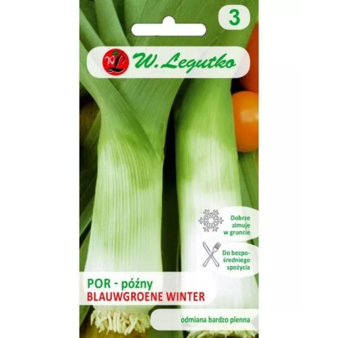 Por Blauwgroene Winter - późna W.Legutko
