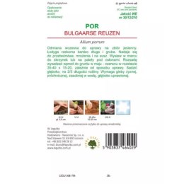 Por Bulgaarse Reuzen - wczesna W.Legutko