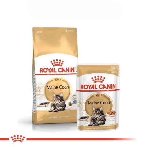 1x400 g i 12x85 g (1020g) ROYAL CANIN Maine Coon Adult