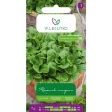 Roszponka warzywna 'Verte de Cambrai' W.Legutko