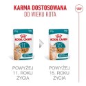 Royal Canin Senior Ageing 11+ — mokra karma w galaretce dla kotów starszych, 12 x 85 g Royal Canin