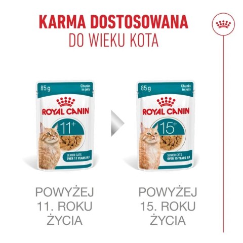Royal Canin Senior Ageing 11+ — mokra karma w galaretce dla kotów starszych, 12 x 85 g Royal Canin