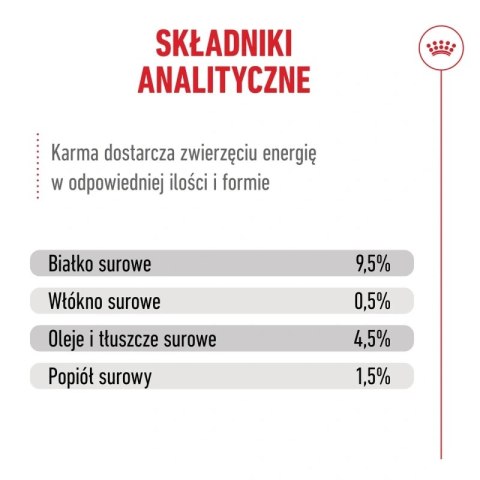 Royal Canin Senior Ageing 11+ — mokra karma w galaretce dla kotów starszych, 12 x 85 g Royal Canin