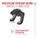 Royal Canin Senior Ageing 11+ — mokra karma w galaretce dla kotów starszych, 12 x 85 g Royal Canin
