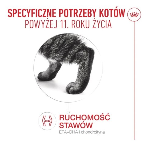 Royal Canin Senior Ageing 11+ — mokra karma w galaretce dla kotów starszych, 12 x 85 g Royal Canin