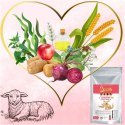 SUCHA KARMA DLA PSA 2Dog JAGNIĘCINA 12kg ZIMNOTŁOCZONA HIPOALERGICZNA MONO
