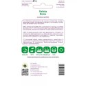 Sałata głowiasta masłowa 'Bona' - odmiana wczesna, żółtawozielona W.Legutko