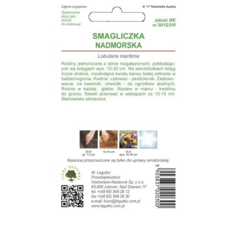 Smagliczka nadmorska - odmiana biała W.Legutko