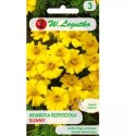 Aksamitka Rozpierzchła Sunny Żółta 1g W.Legutko