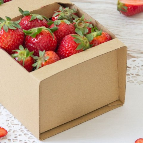 Łubianka duża 350x130x105 mm PAXIT