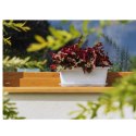 Skrzynka balkonowa NATURA 400 - biały LAMELA