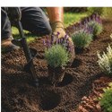 Wiertło ogrodowe/świder do sadzenia roślin 30cm VERK GROUP