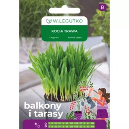 Nasiona kociej trawy dla kota W.Legutko
