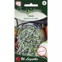 Nasiona na kiełki - cebula (Allium cepa) 10 g W.Legutko