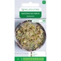 Nasiona na kiełki - soczewica W.Legutko
