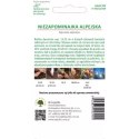 Niezapominajka alpejska różowa - nasiona W.Legutko