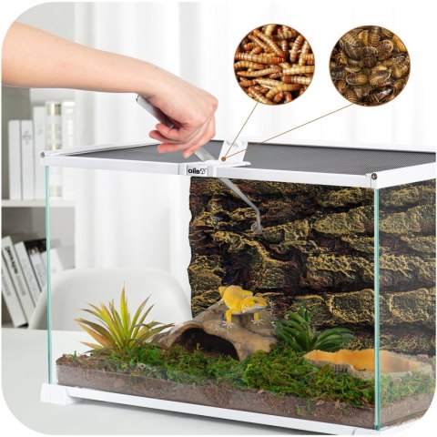 OiiBO Terrarium RAK08W - terrarium 50x30x25cm OiiBO