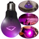 Repti-Zoo Night Heat Bulb 35W - żarówka grzewcza nocna Repti-Zoo