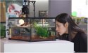 Repti-Zoo Terrarium AK 21x31x15 Repti-Zoo