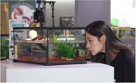 Repti-Zoo Terrarium AK 21x31x15 Repti-Zoo